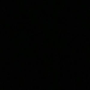 Meet your Posher, Eli